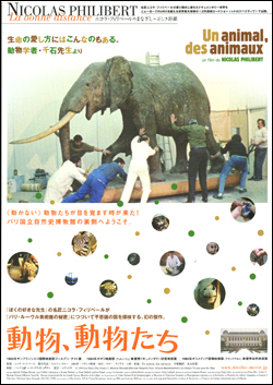 動物、動物たち