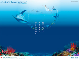 42nd Sony Aquarium 2009 ハイビジョン沖縄美ら海水族館｜ソニービル