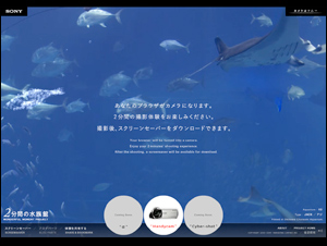 Wonderful Moment Project | ソニー