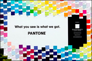 What you see is what we got - PANTONE
