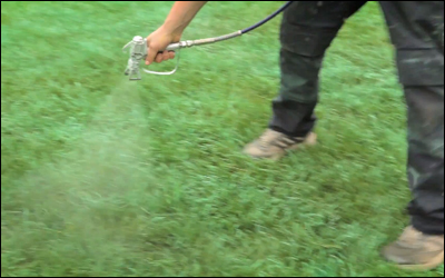 World's Biggest Shave - Roger Federer