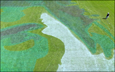 World's Biggest Shave - Roger Federer