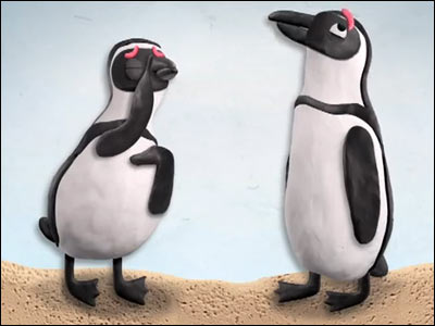Pink Eye | Toronto Zoo Endangered African Penguin Commercial