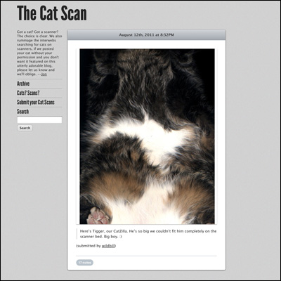 The Cat Scan