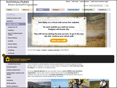 Pedigree Adoption Drive