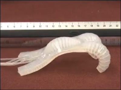 Soft Robot Walking and Crawling