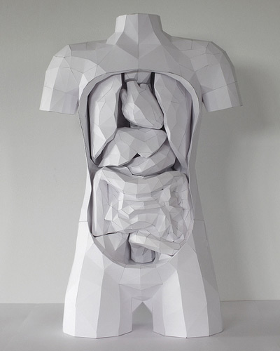 paper torso