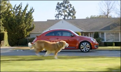 The Dog Strikes Back