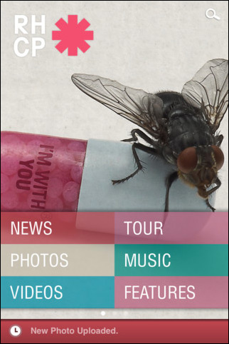 LOOK AROUND - The Red Hot Chili Peppers