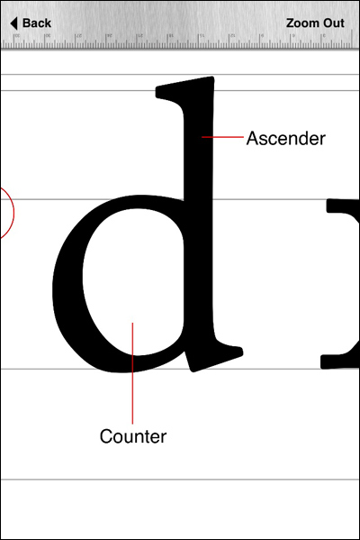 Typography Insight