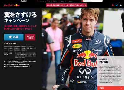 World of redbull「翼をさずけるキャンペーン」