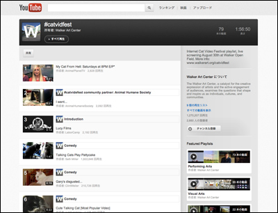 Internet Cat Film Festival