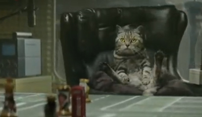 Cravendale - Catnapped