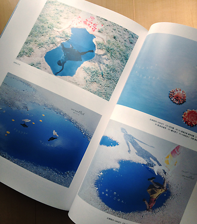 広告＆CM年鑑2013