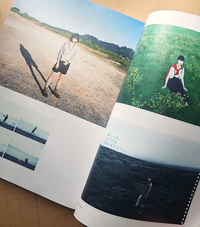 広告＆CM年鑑2013