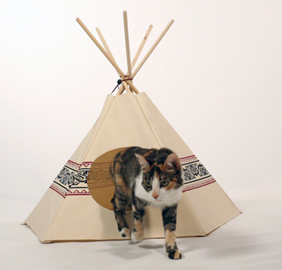 Cat Tipi