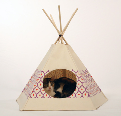 Cat Tipi