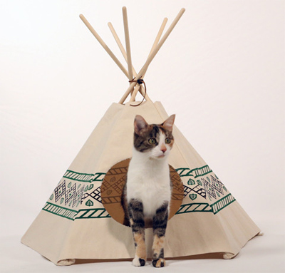 Cat Tipi
