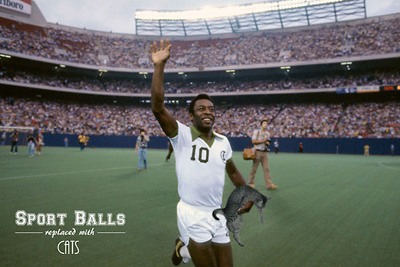 Sport Balls Replaced With Cats