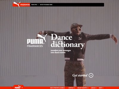 Puma Dance Dictionary