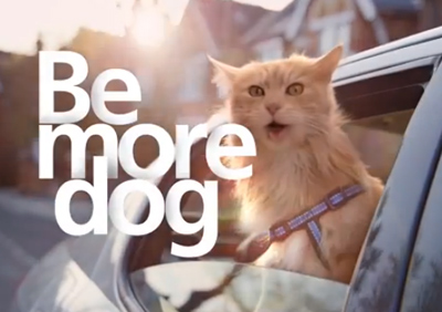 Be more dog