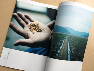 クラブハリエによる無料冊子「La Collina（ラ・コリーナ）」2013 vol.2