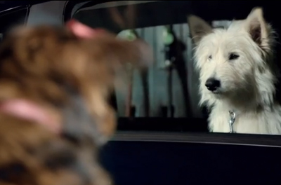 Citroën C3 Dog Romance