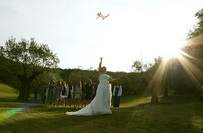 Brides Throwing Cats