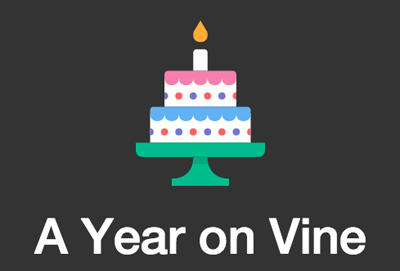 A Year on Vine