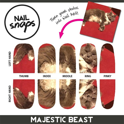 NailSnaps