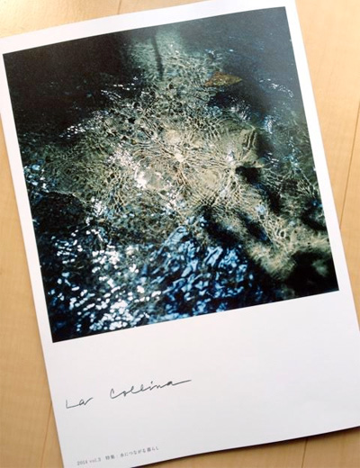 たねやとクラブハリエによる無料冊子「La Collina（ラ・コリーナ）」2014 vol.3