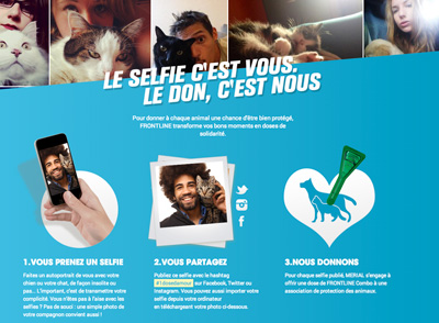 #1dosedamour - Frontline