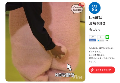 ピューロのうわさ 100