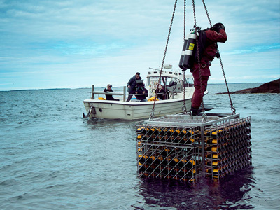 Veuve Clicquot Cave Privée & Cellar in the Sea