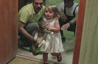 Сервис доставки котов на новоселье