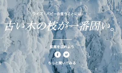 ワイズ・パピー