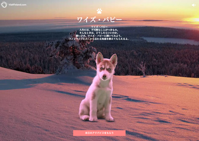 ワイズ・パピー