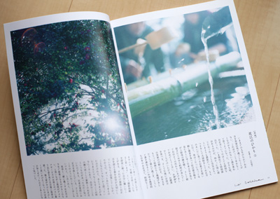 たねやとクラブハリエによる無料冊子「La Collina（ラ・コリーナ）」2014 vol.4