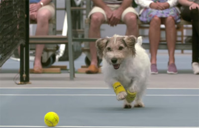 Venus Williams and The Best Ball Boys in the World