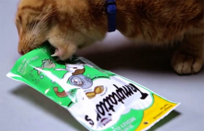 #PACKATTACK - Temptations Cat Treats