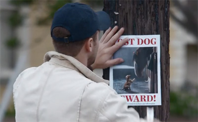 Budweiser Super Bowl Commercial Lost Dog