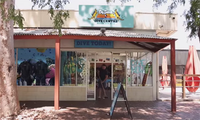 Shark diving in the desert