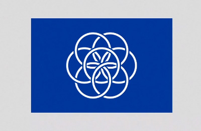 Construction of The International Flag of Planet Earth