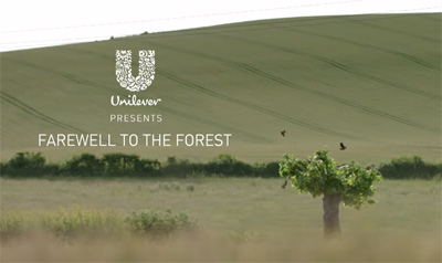 Farewell To The Forest