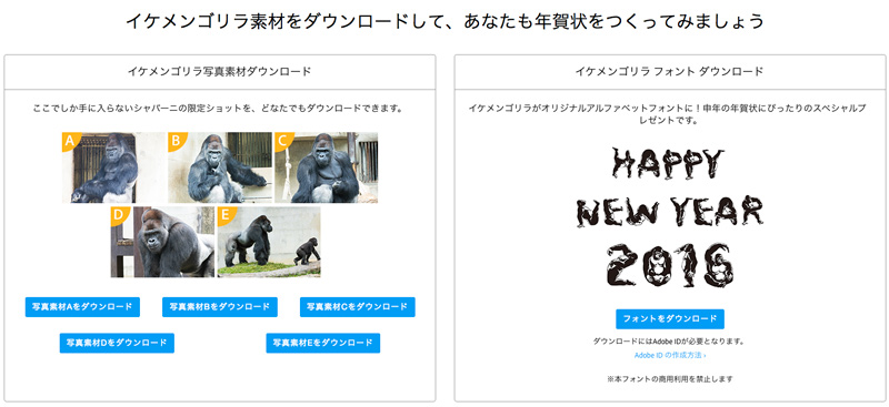 今年こそ、早めに準備！自慢の写真で作る、あなただけの年賀状。｜Adobe Creative Cloudフォトグラフィプラン