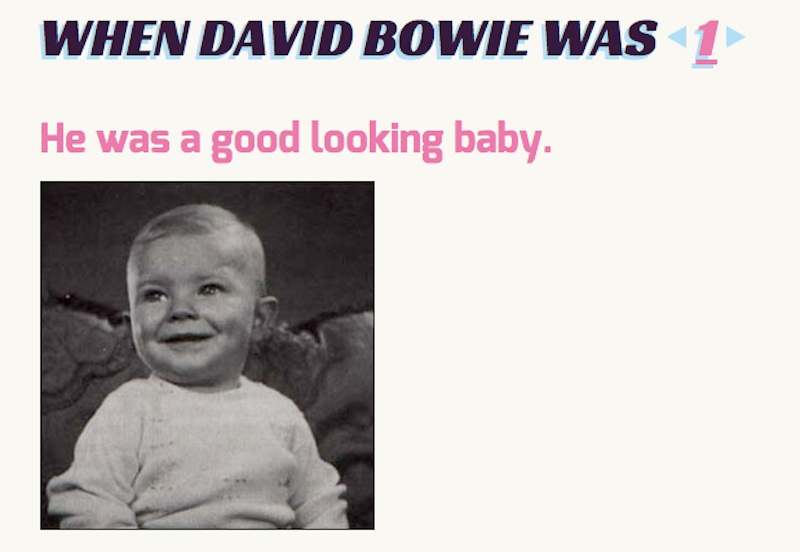 WHAT DID BOWIE DO?