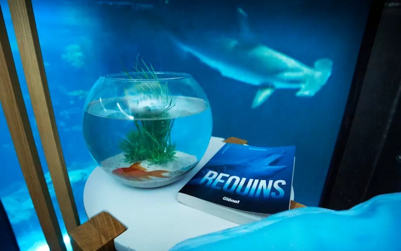 L'aquarium de Paris avec 35 requins