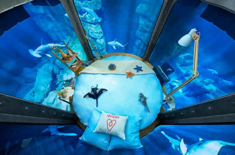 L'aquarium de Paris avec 35 requins