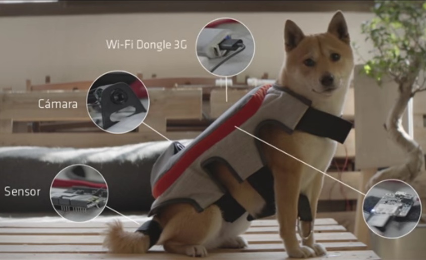 The Posting Tail by Pedigree