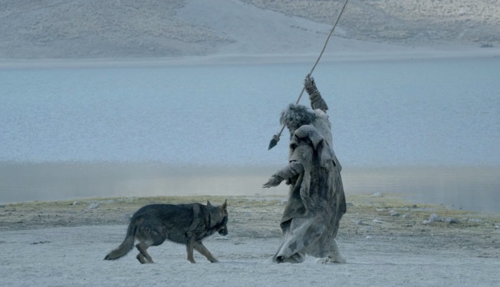 First Meeting - Pedigree